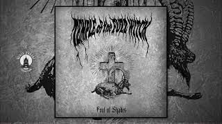 TEMPLE OF THE FUZZ WITCH - FOUL OF SHADES (SINGLE)