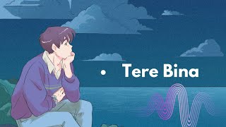 TERE BINA_OFFICIAL SONG_BISHAL