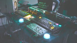 OCTA ANALOG SESSION