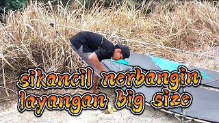 Sikancil Nerbangin Layangan Pegon Ludoyo BIG SIZE #NurMelia