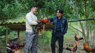 CEO James Visited John’s Farm to Learn Chicken and Duck Breeding