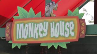Wild Adventures animals