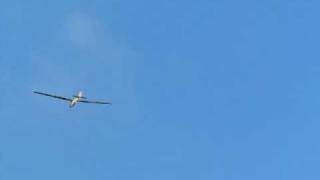 L-Spatz 55 von Robbe Hangflug