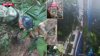 Colombia says 4 lost children in jungle found alive I DECENT NEWS I