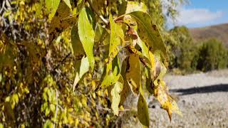 A Nature Photoshoot - October 3rd, 2018