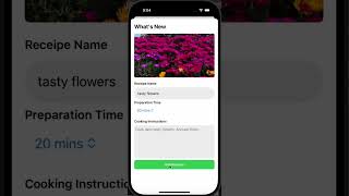 receipesapp from udemy ios programming course.