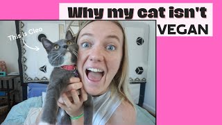 Time To Confess - My Cat Isn't Vegan!