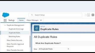 Lightning Duplicate Rules for Accounts 101.2