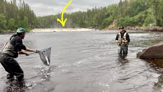 Fly Fishing A World Famous Waterfall Full Of Atlantic Salmon ! ( Newfoundland ) 