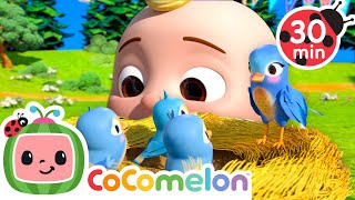Itsy Bitsy Birdie 🐣 30 MINUTE LOOP |  Karaoke Nursery Rhymes & Kids Songs - CoComelon