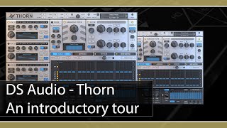 DS Audio Thorn: an introductory tour