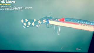 Do You Love America?