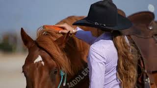"Clifford" - Consigned to HorseBid.com - 222 Triple Deuce Equine