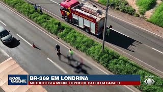 Motorcyclist dies after hitting a horse on BR-369 in Londrina.