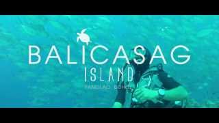 Balicasag Island: School of Fish Dive.