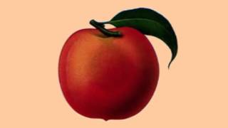 White by Jake Chudnow