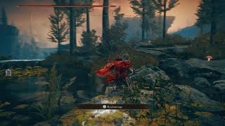 How to get Divine Bird Warrior Ornis spirit ashes
