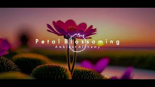 Petal Blossoming | Ambient Alchemy | Ambient Music