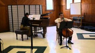 Ave Maria - Charles Gounod/J.S.Bach "PIACELLO"
