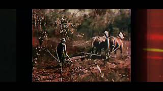 A Pile of Dirt - The Big Empty