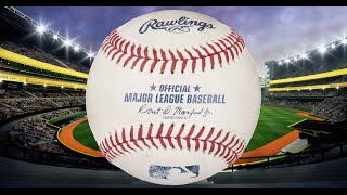 Ohtani’s 55th Home Run of 2025: A Dodgers Record… and a Fan’s Unforgettable “Catch”!