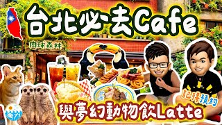 【2026 🇹🇼 Taipei Trip】Experience a tropical rainforest at an animal-themed cafe 🦜🦝 with toucans an...