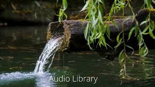 Nature Happy Life _  Audio Library