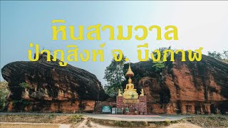 หินสามวาฬ ป่าภูสิงห์ จ. บึงกาฬ 🇹🇭 #ไทย #thailand