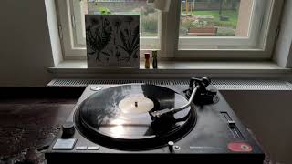 Walter Maioli & Agostino Nirodh Fortini – Taraxacum (2001) / side B