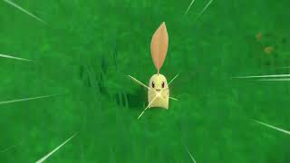 Pokemon Violet: Shiny Chickorita