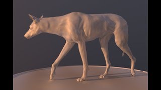 Wolf Sculpt - Clay Render