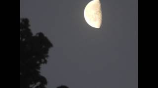 Latest Moon Pics - May 2019