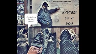 Dog Training | Gaining Value from the Dog | Markers to Shape Behavior