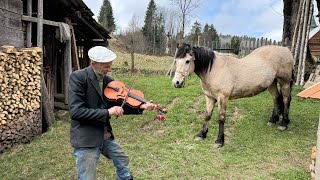Life in the Carpathians: A Day in the Life of a Mountain Grandpa