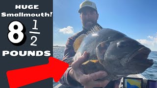 Huge 8 1/2 Pound Smallmouth and a tournament!