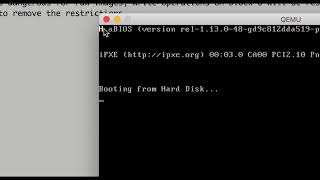 2020-12-24: booting up without a kernel