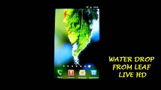 Water Drop From Leaf Live Wallpaper HD