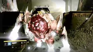 Solo Oryx #6