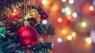 Princeton Dubai - The Christmas Song (Cover)