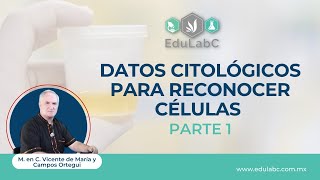 Datos citológicos para reconocer células| Parte 1