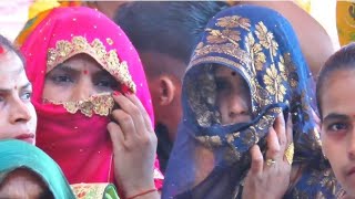 भाभी जी की विशेष फरमाइश पर बब्बर शेर की दहाड़। #viral_bhabhi #bhole_shastri #sachin_yadav_up84 #song