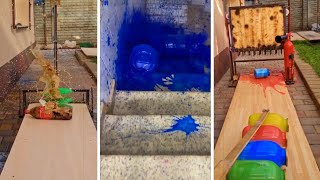 THE BEST SHORTS !! - COMPILATION 