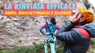 Quickdraws, Carabiners, and Extensions - #focusclimbing 7