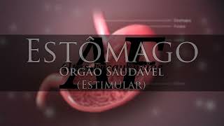 Estômago (Órgão Saudável) [Estimular] | Canal: Altas Frequências
