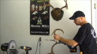 Plaque Master Short