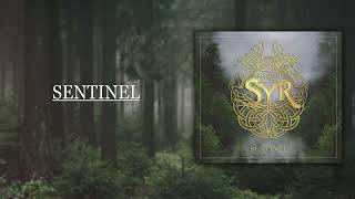 "Sentinel" - Syr