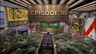 Episode 18| Stacking Weight