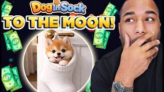 🔥 Dog In Sock! Pay Serious Attention Before It SKYROCKETS!