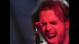 ((NEW)) Eating Crow (Live) - Days of the New Presents Tree Colors