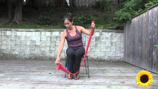 Seated Theraband Exercise for Seniors
